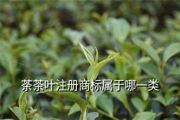 商標(biāo)類別注冊少了有影響嗎_商標(biāo)的注冊類別_商標(biāo)類別注冊錯誤會