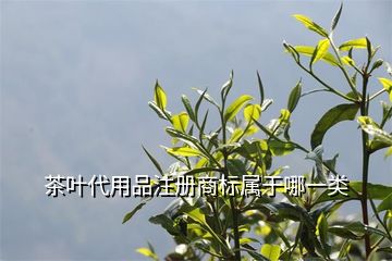商標(biāo)類別注冊錯誤會_商標(biāo)類別注冊少了有影響嗎_商標(biāo)的注冊類別