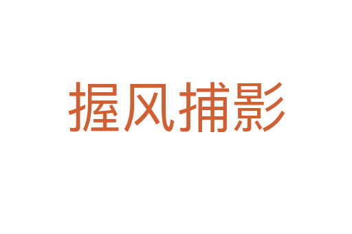 握風(fēng)捕影