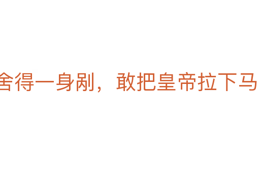 舍得一身剮,敢把皇帝拉下馬