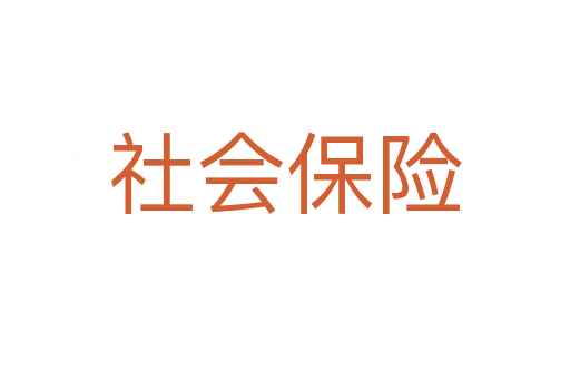 社會(huì)保險(xiǎn)