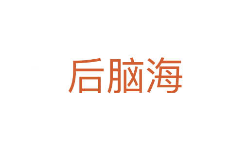 后腦海