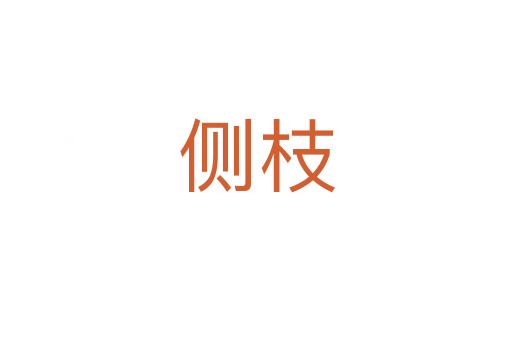 側(cè)枝